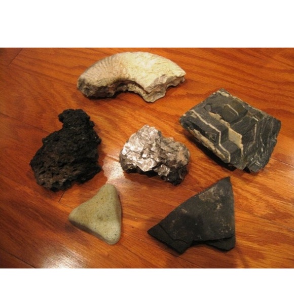 Instant Fossil/Rock Collection Lot 1 - Picture 2 of 4